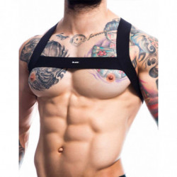 H4RNESS by C4M - Hero -...