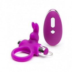 Happy Rabbit Remote Control...