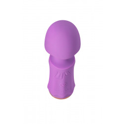 Mini vibro rechargeable SecretFuntasy violet - FairyGasm