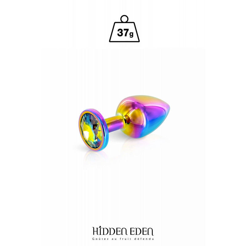 Plug bijou aluminium Rainbow XS - Hidden Eden