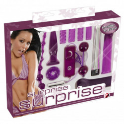 Coffret de sextoys Surprise...