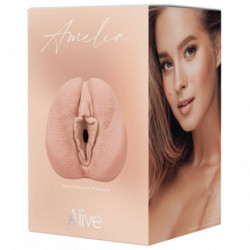 Sentir Molly Stewart PBC