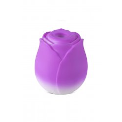 Stimulateur à aspiration et vibrations Blossom Pulse - DIK