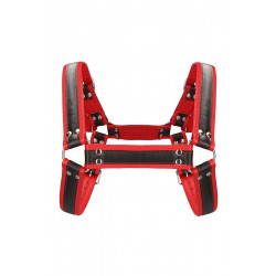 Harnais Buckle Bulldog rouge - Ouch!